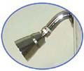 Chrome Shower Head